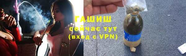 скорость Каменка