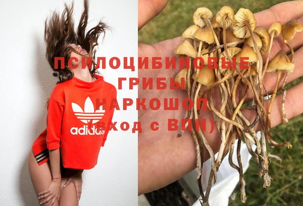 скорость Каменка