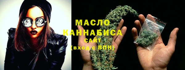 скорость Каменка