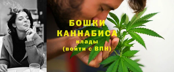 скорость Каменка