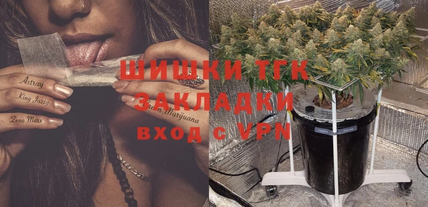 скорость Каменка