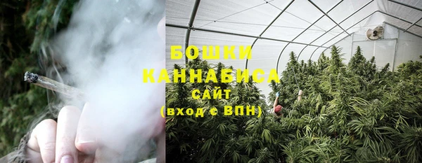 скорость Каменка